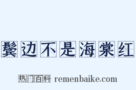 鬓边不是海棠红是什么意思的图片